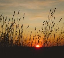 cremation services Biddeford, ME 